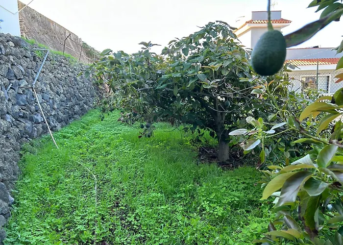 Apartamento Casa La Oliva Garachico (Tenerife)