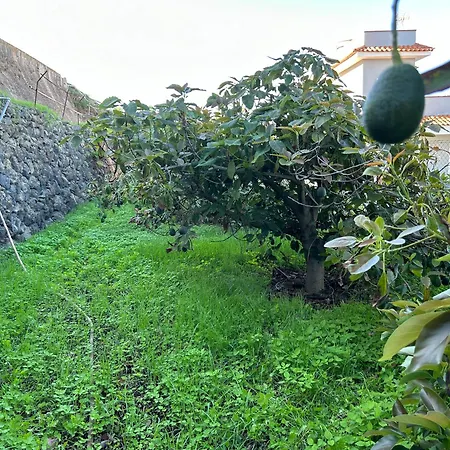 Appartement Casa La Oliva Garachico (Tenerife)